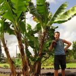 Big Island
